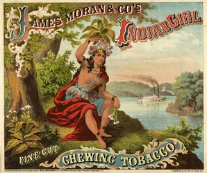 James Moran & Co.s Indian Girl Fine Cut Chewing Tobacco, pub., c.1874